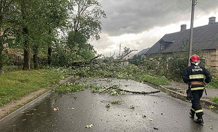 В Гродненской области из-за непогоды в 67 населенных пунктах нарушалось электроснабжение