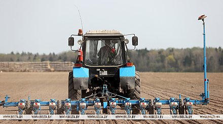 Массовый сев сахарной свеклы начался в Беларуси