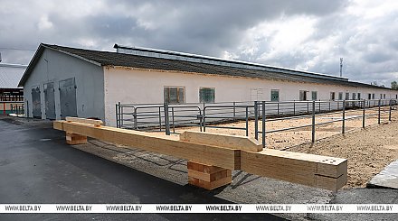 Александр Лукашенко совершит рабочую поездку в Петриковский район