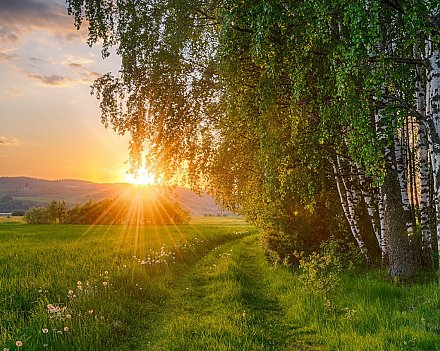 Народные приметы на 12 июля 2025 года: что можно и нельзя делать в этот день