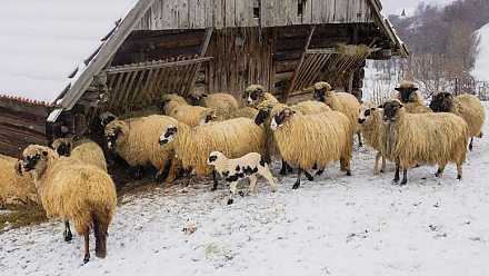 Избегайте уборки: народные приметы на 28 февраля 
