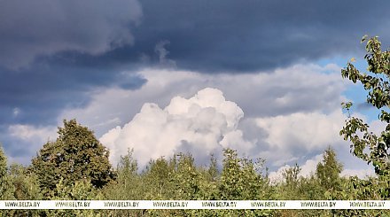 Ветрено и дождливо будет сегодня в Беларуси