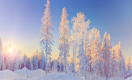 От -5°С до +7°С по стране. Какие колебания температуры ждут белорусов 9 января