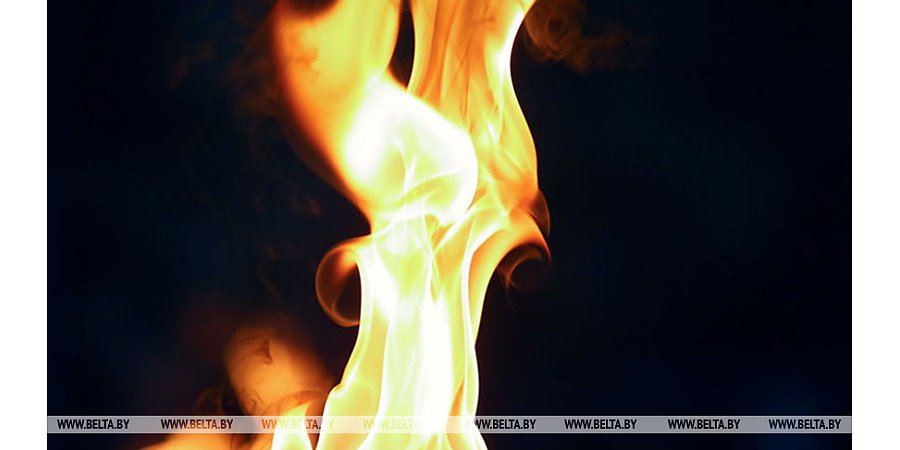 В Гродненской области за выходные произошло 25 случаев возгорания сухой растительности