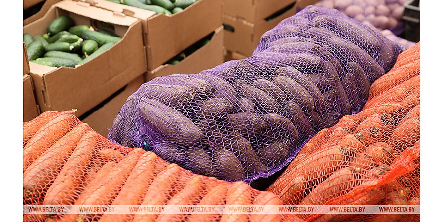 Сколько сельхозпродукции закуплено у населения, рассказали в Белкоопсоюзе