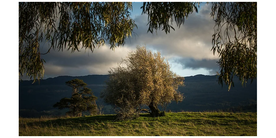 Народные приметы на 27 августа: что можно и нельзя делать в этот день