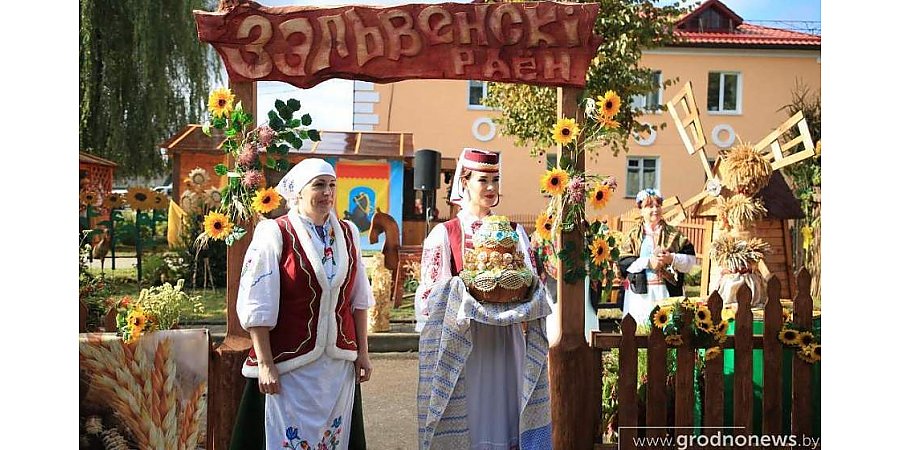 Что ни локация, то праздник. Чем будут удивлять гостей подворья районов Гродненщины на областных «Дажынках» в Зельве