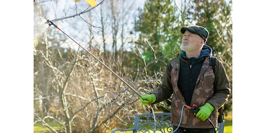 Обработайте сад, пока не стало слишком поздно! Осенняя ошибка, которая оставит вас без урожая в следующем году