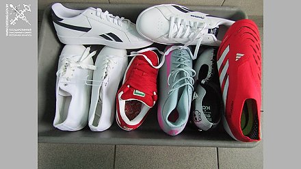 Два факта недекларирования товаров выявили сотрудники Гродненской региональной таможни в пункте пропуска «Каменный Лог»