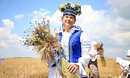 Шествие, выставки, концерты, "ТракторШОУ". Какой будет программа фестиваля "Дажынкі" в Волковыске