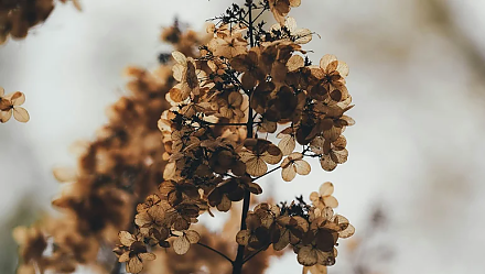 Народные приметы ноября: что ждать от последнего месяца осени