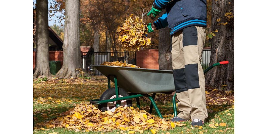 Что нельзя делать садоводам и огородникам в октябре