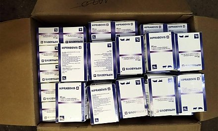 Польский перевозчик хотел сэкономить порядка 75 тысяч рублей при ввозе ветпрепаратов