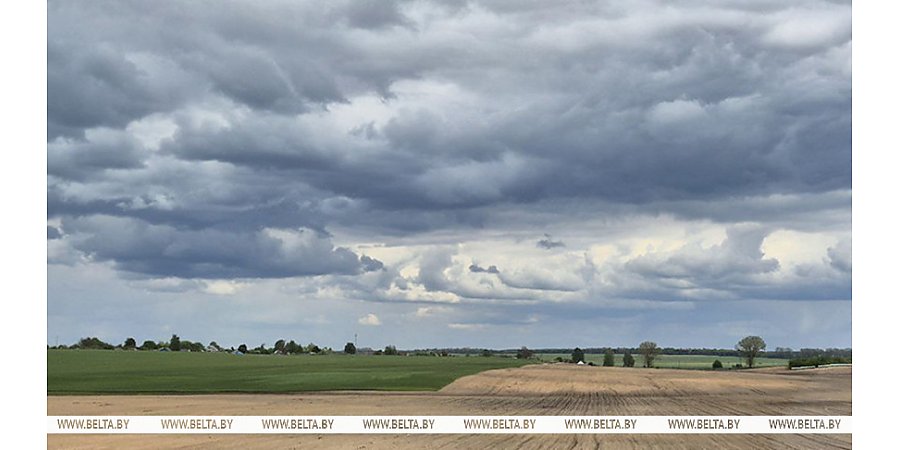 Дождливая погода с грозами ожидается сегодня в Беларуси