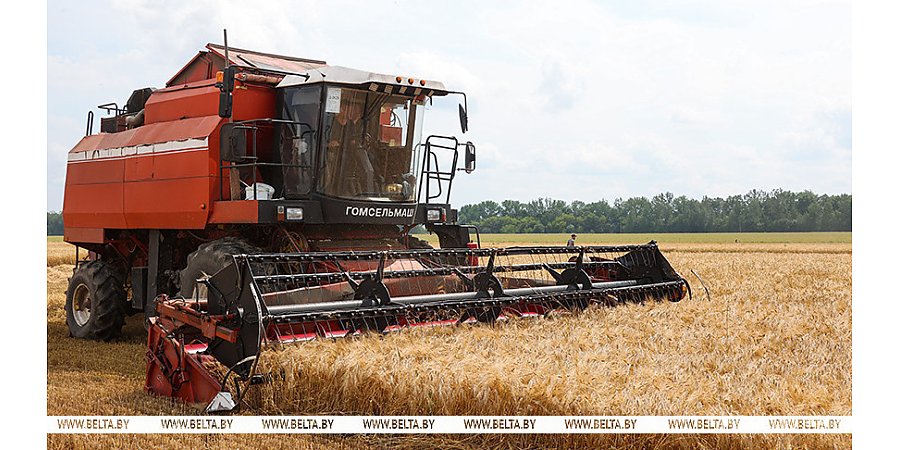 Белорусские аграрии намолотили 4 млн тонн зерна