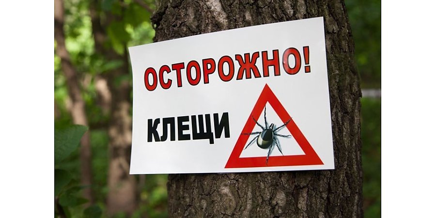 Осторожно! Сезон клещей открыт