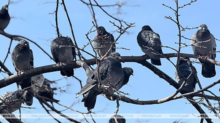 Снег возвращается? Синоптики предупредили о непогоде в понедельник