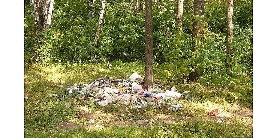 За свалку в лесу можно будет отдать штраф до 50 базовых величин