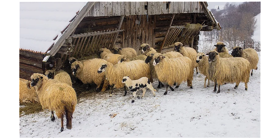 Избегайте уборки: народные приметы на 28 февраля 
