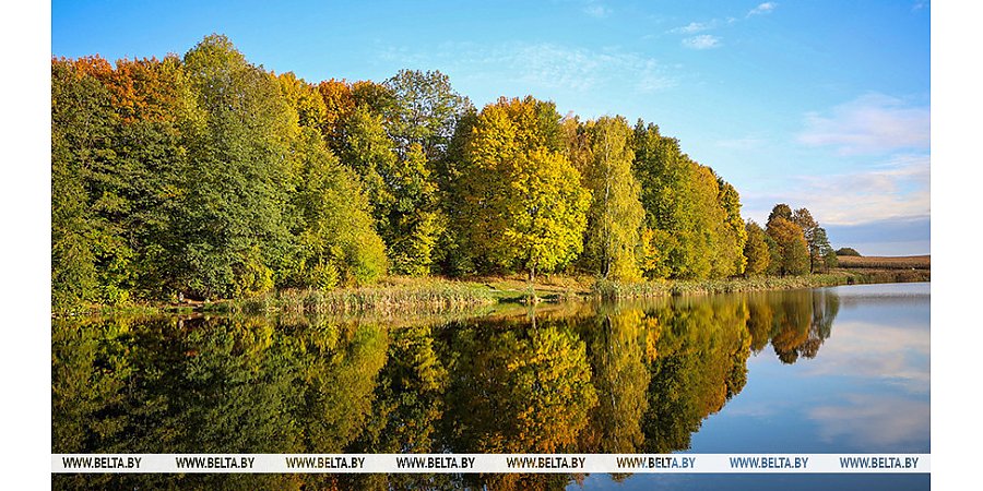 Преимущественно без осадков и до +11°С ожидается 20 октября