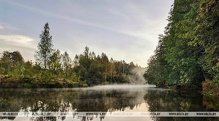 Туман и до +17°С ожидается в Беларуси 4 октября 