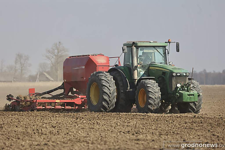 В Беларуси намолочено более 9,2 млн тонн зерна вместе с рапсом и кукурузой