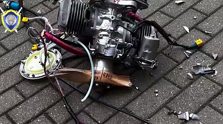 Александр Лукашенко об упавшем в Беларуси беспилотнике: «59 кг взрывчатки, начиненный шариками»