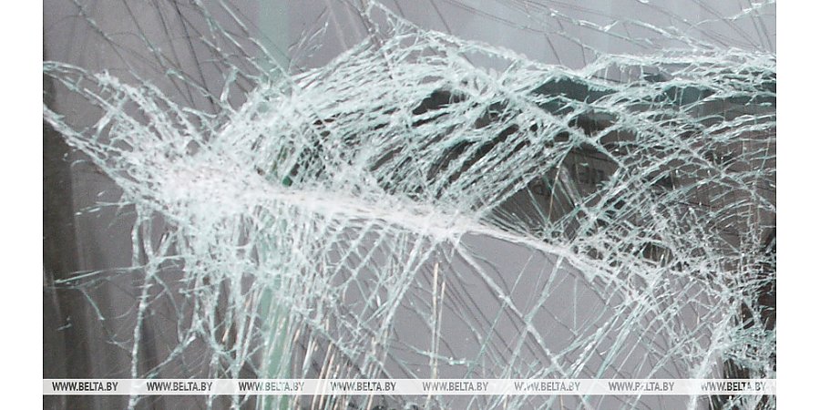 В какой области Беларуси произошло больше всего ДТП с участием диких животных, рассказали в Госинспекции