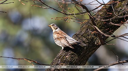 Продолжится ли марафон теплой погоды, ответили синоптики