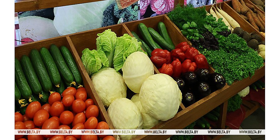 Торговые сети и поставщиков обязали обеспечивать наличие в магазинах овощей в межсезонье 