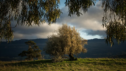 Народные приметы на 27 августа: что можно и нельзя делать в этот день