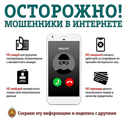 Осторожно! Мошенники в интернете (инфографика)