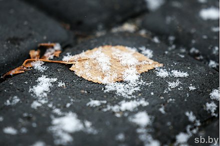 Погода в выходные: мокрый снег, туман, слабый гололед и от -9 °С до +5 °С
