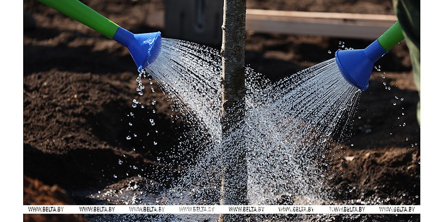 Республиканский субботник проходит в Беларуси