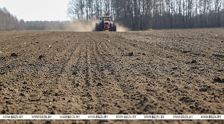 Александру Лукашенко доложили о ходе весенних полевых работ в Беларуси