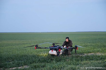 Агродроны работают на полях Гродненщины