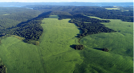 Народные приметы на 29 июля: что можно и нельзя делать в этот день