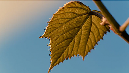 Почему в этот день ждали дежавю: народные приметы на 30 октября 