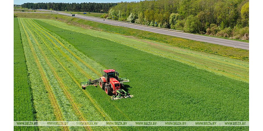 Аграрии Беларуси заготовили почти 30% сенажа