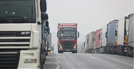 Литовские перевозчики готовят иск против своего правительства из-за застрявших в Беларуси грузовиков