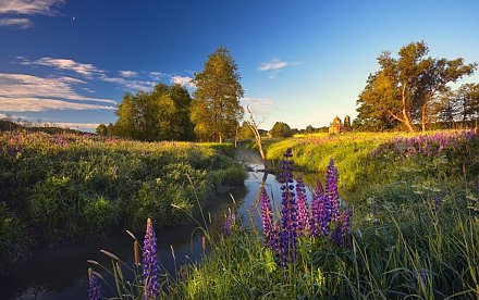 Народные приметы на 22 июня 2025 года: что можно и нельзя делать в этот день