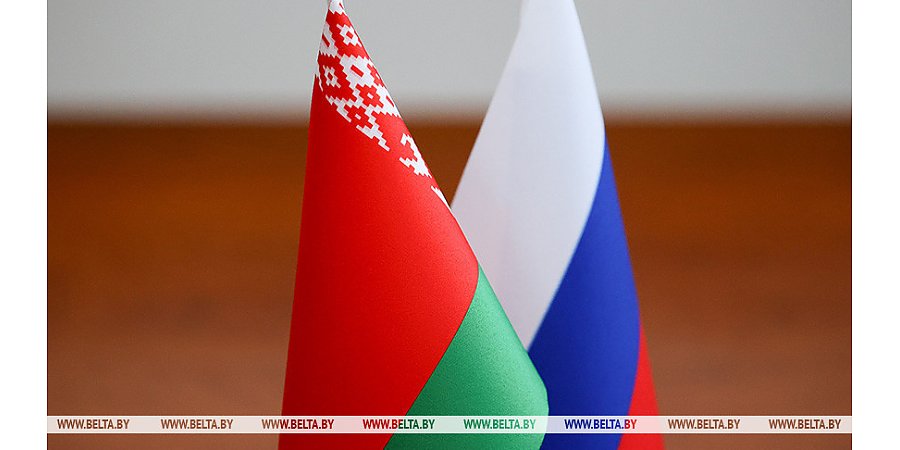 Мининформ: Россия и Беларусь объединятся в борьбе с экстремистской литературой