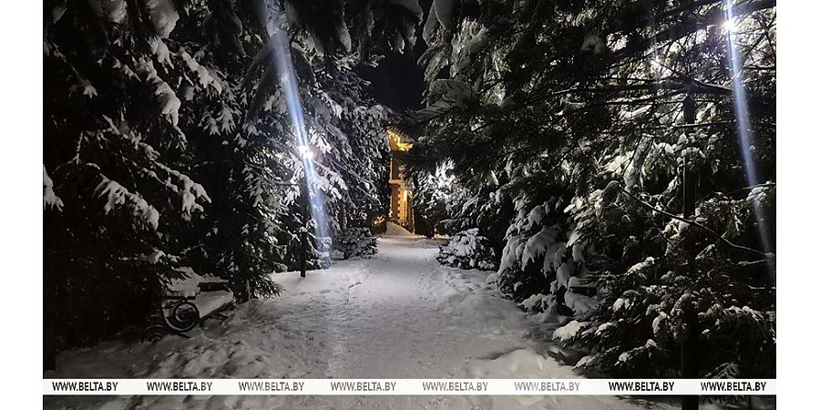 Снег и гололедицу прогнозируют сегодня в Беларуси 