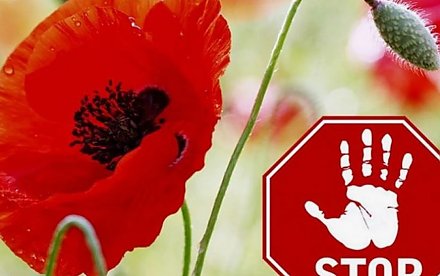 Специальная программа «МАК»