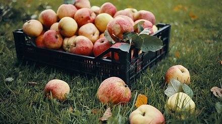 Народные приметы на 8 августа: что можно и нельзя делать в этот день