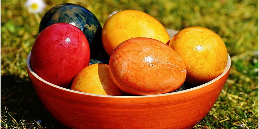 Сколько вареных яиц можно есть в день, рассказала диетолог