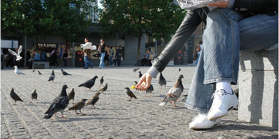 Белорусам грозит большой штраф за «доброе дело»: за что и какова сумма