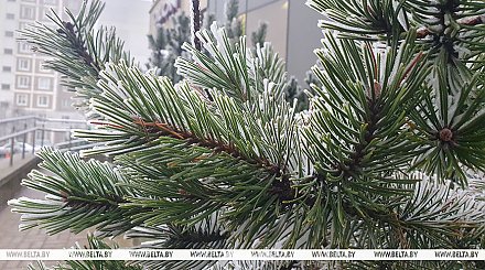 Гололед и до -3°С ожидается в Беларуси 21 декабря