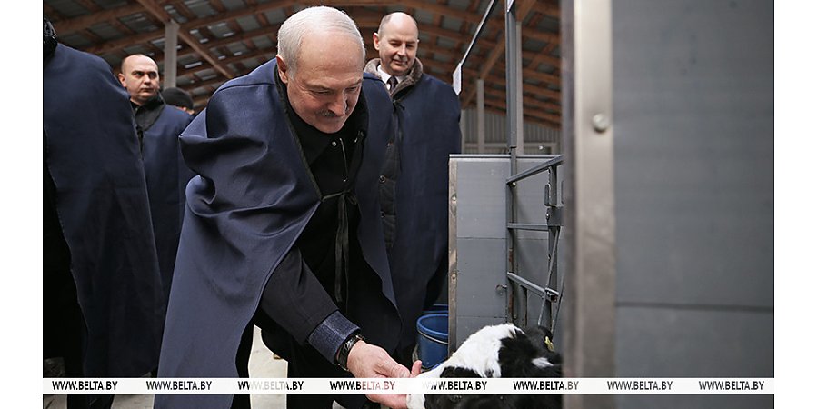 Рабочая суббота у Президента. Куда внепланово приехал Александр Лукашенко и почему взялся за вилы