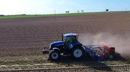 Польские власти обязали фермеров, раздававших свою продукцию бесплатно, заплатить налоги